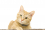 Patter May - Trading Journal in Trading Journal_index